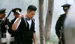 电视剧狐影,暗夜奇谋，神秘谍影