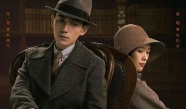 谍战悬疑电视剧,谍影重重