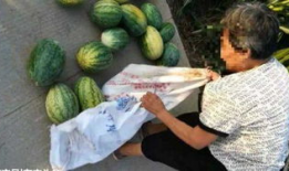 最新吃瓜爆料河北邢台,揭秘背后惊人真相