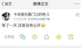 吃瓜爆料软件有哪些,一网打尽娱乐圈最新动态