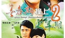 电视剧青春期撞上更年期2,两代人的情感纠葛与成长之旅